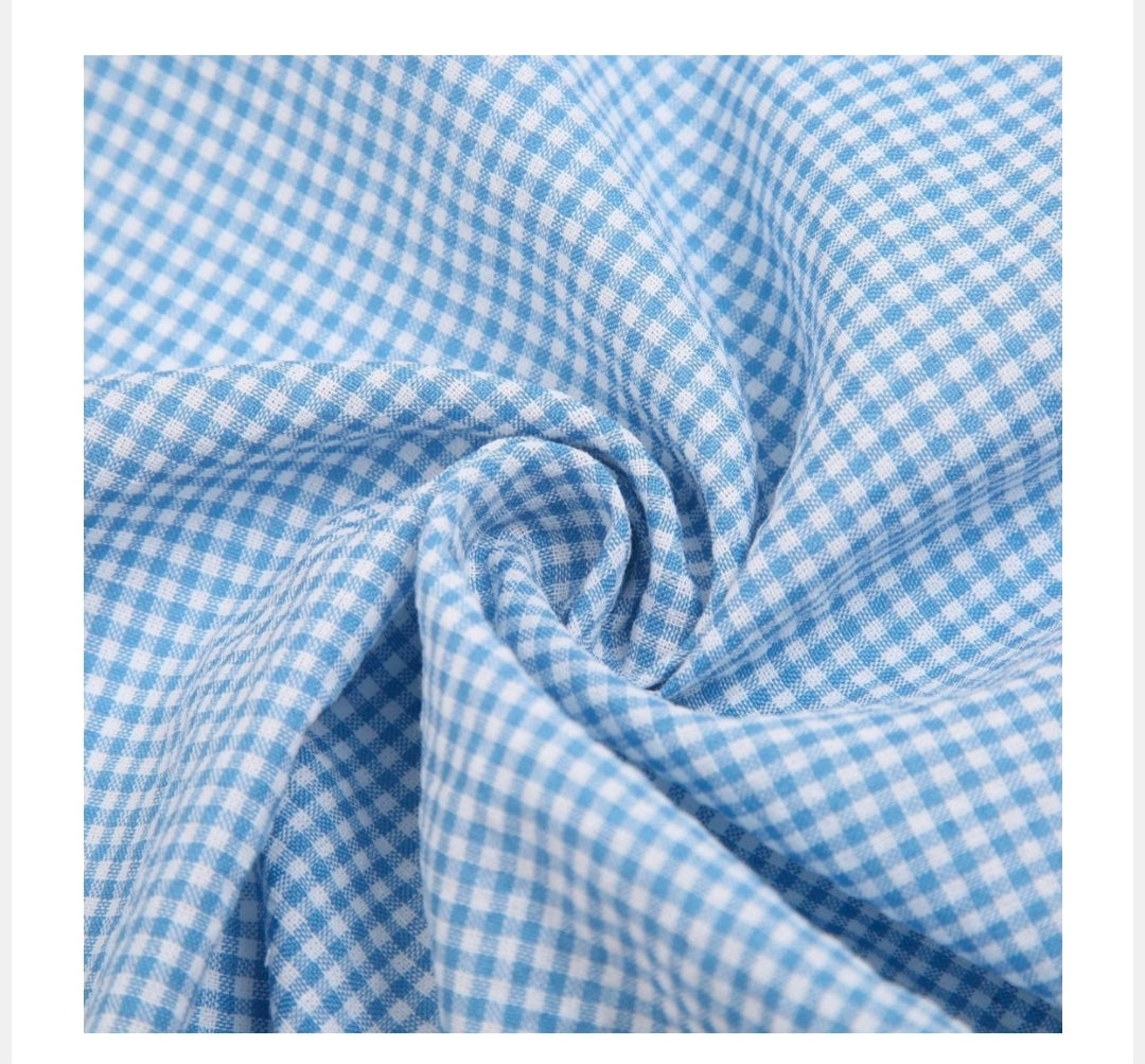 Close-up of blue and white checkered fabric