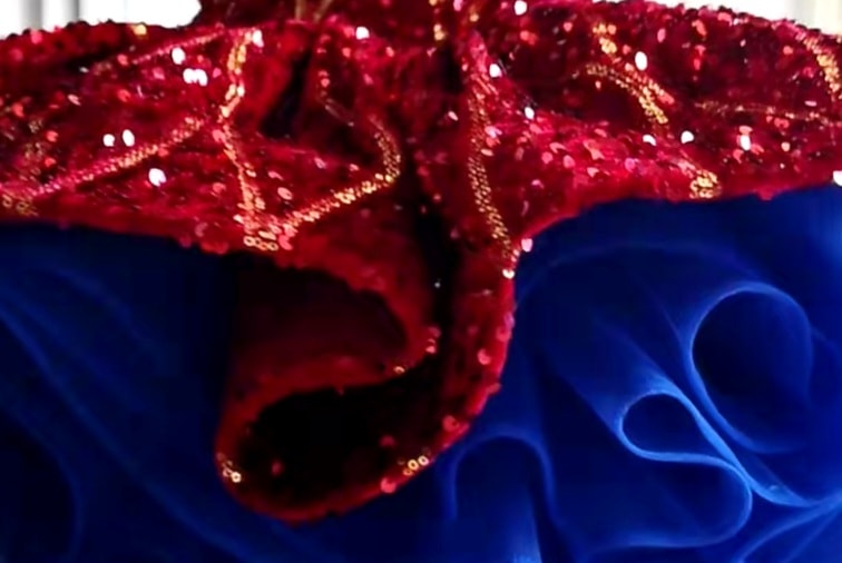 REMNANT Red SEQUIN