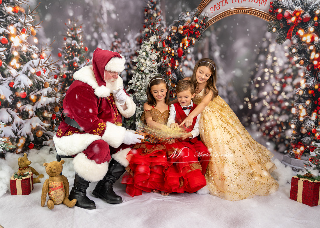 "Ging" - High Low ( 7 Year - Petite 10 Year)