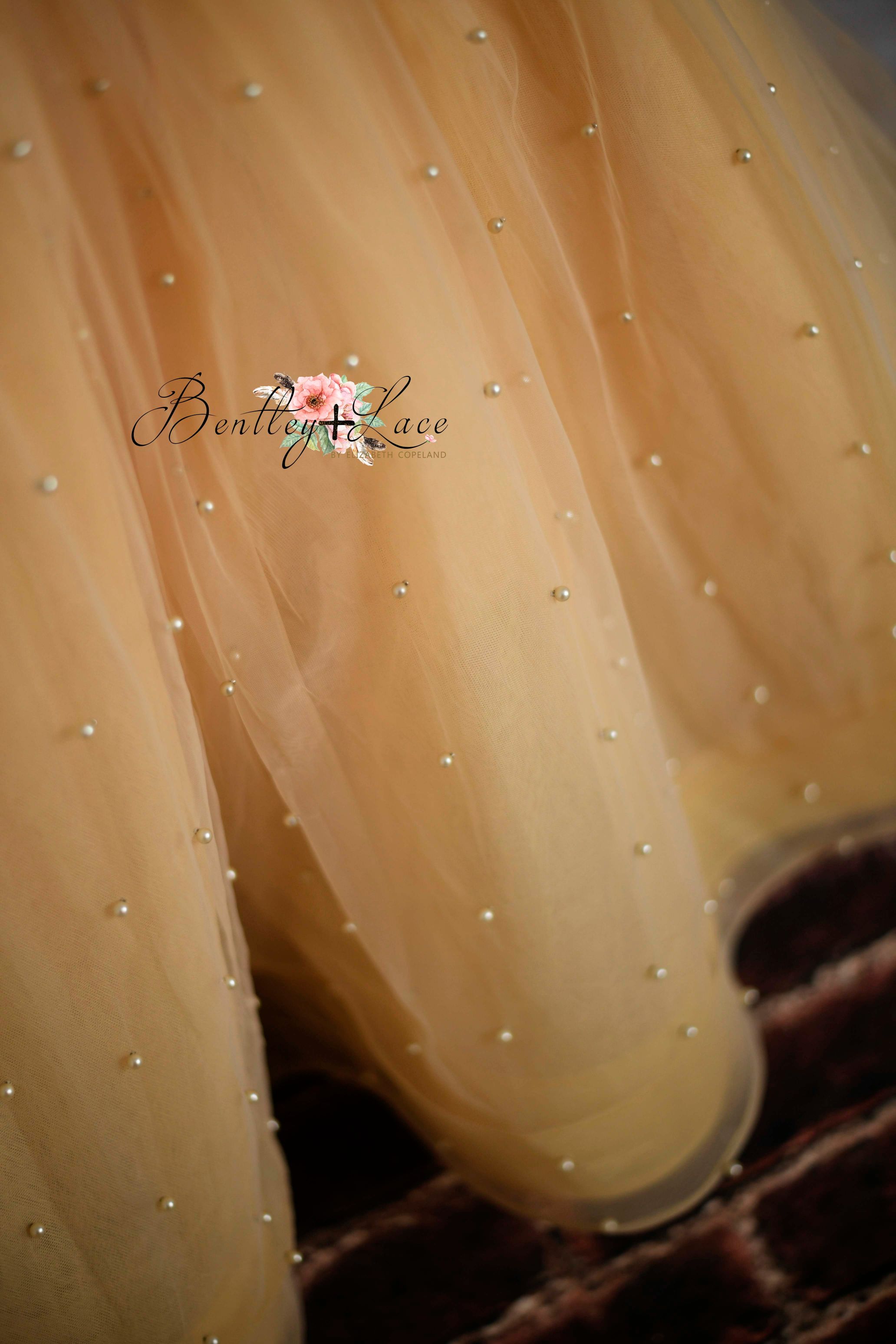 RTS EUC retired rental Fairy Dust-Toddler floor long gown (3 year- 4 year)