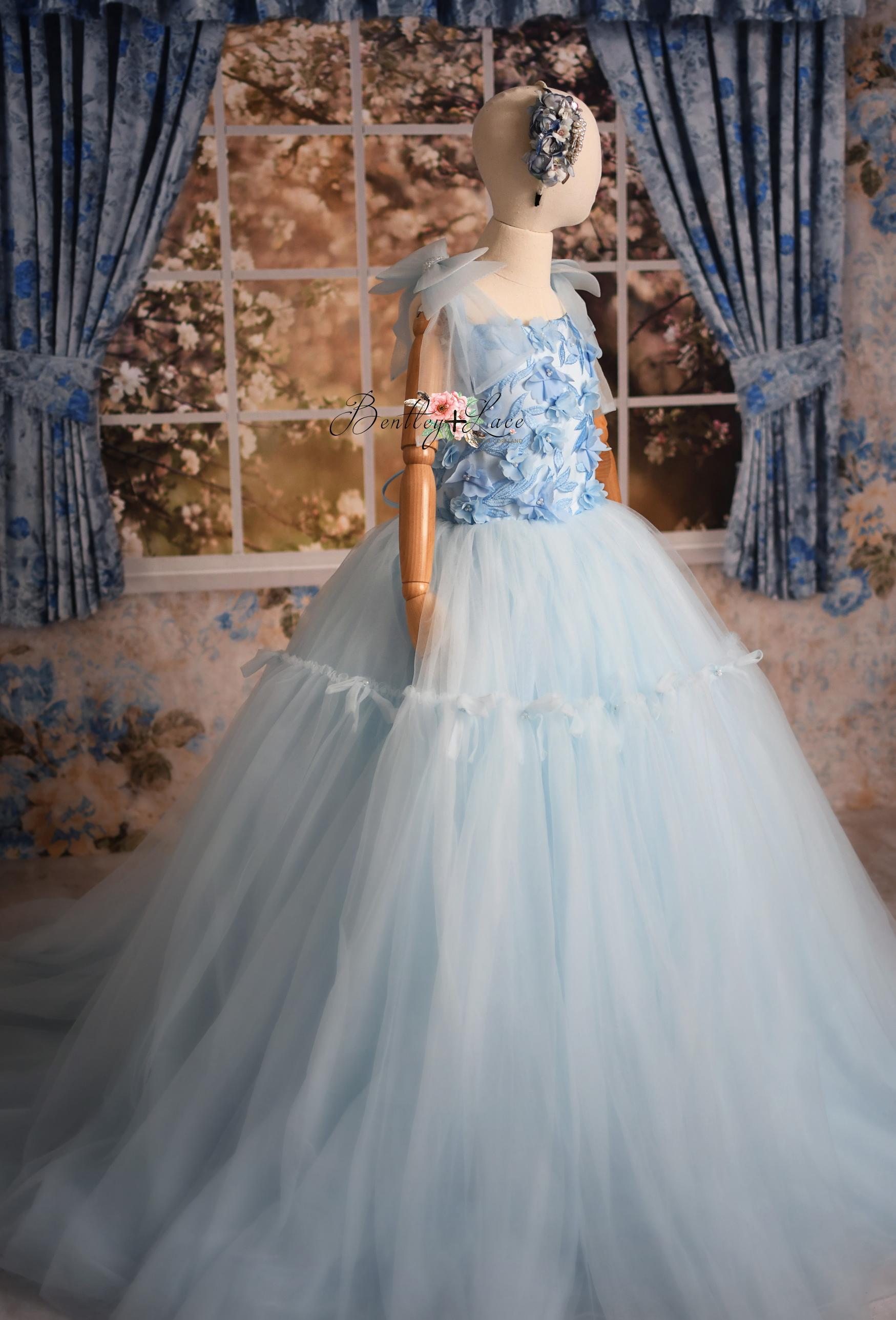 Cinderella inspired gowns for photography sessions