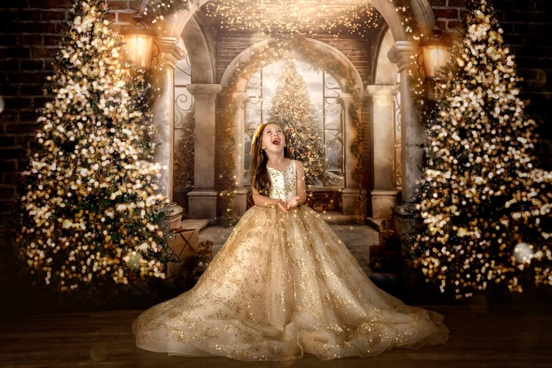 Christmas dresses, holiday gowns for girls, dresses for photography sessions, babydream backdrops, dream dress sessions, april massad photography
