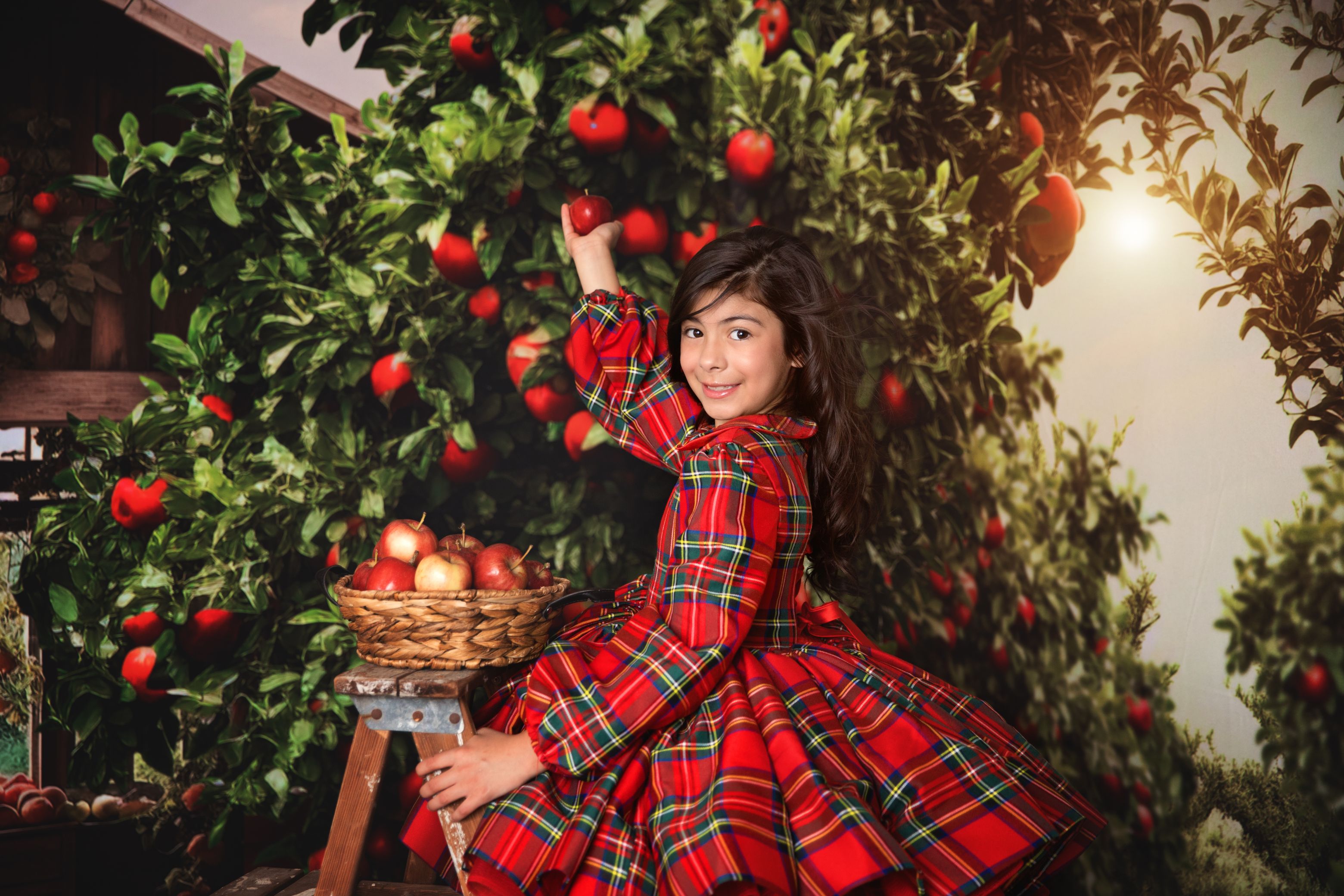 Couture gown rental: "Darling Plaid" Red Vintage Dress Sleeve ( 5 Year - Petite 6 Year)