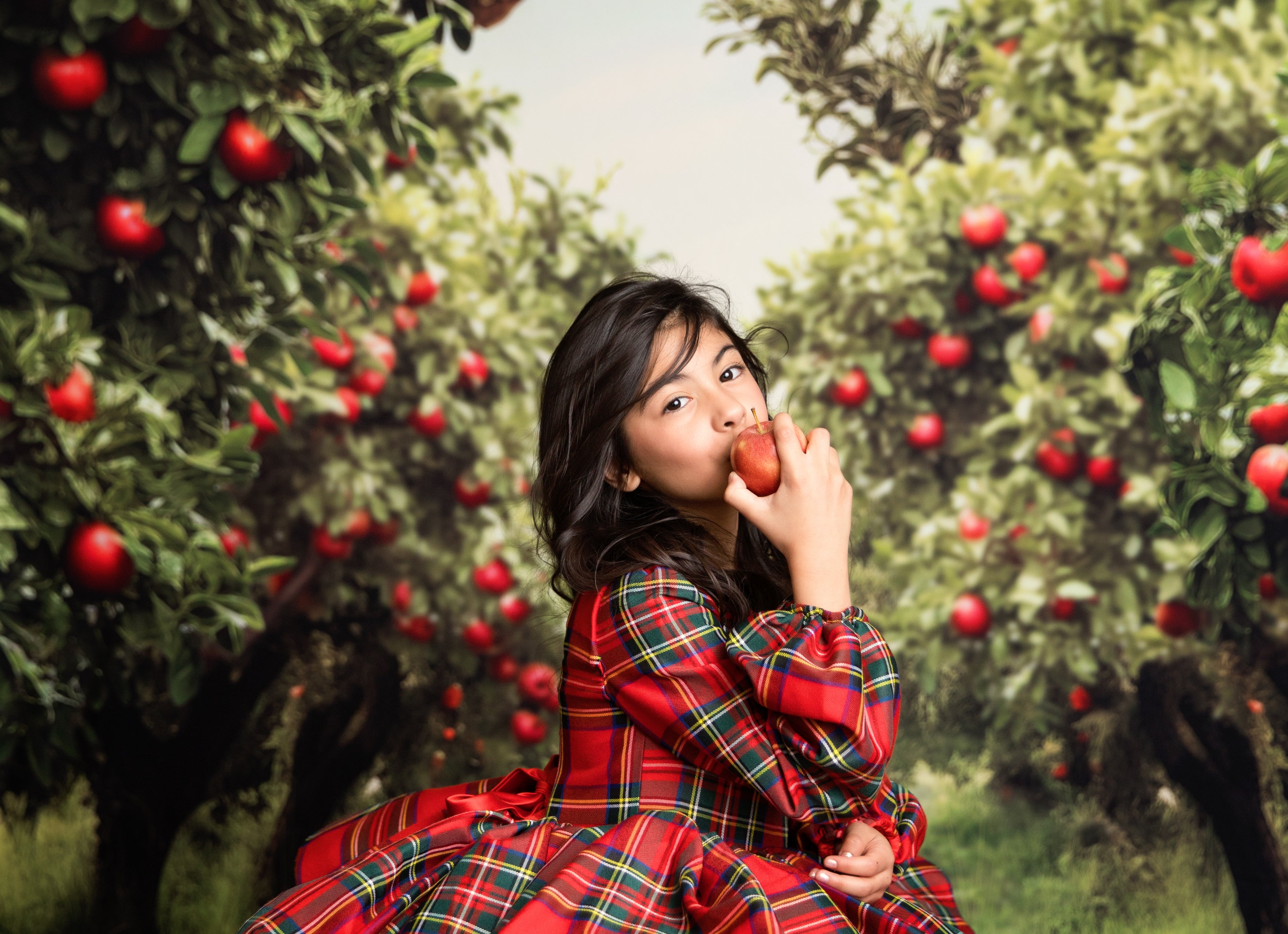 Couture gown rental: "Darling Plaid" Red Vintage Dress Sleeve ( 5 Year - Petite 6 Year)