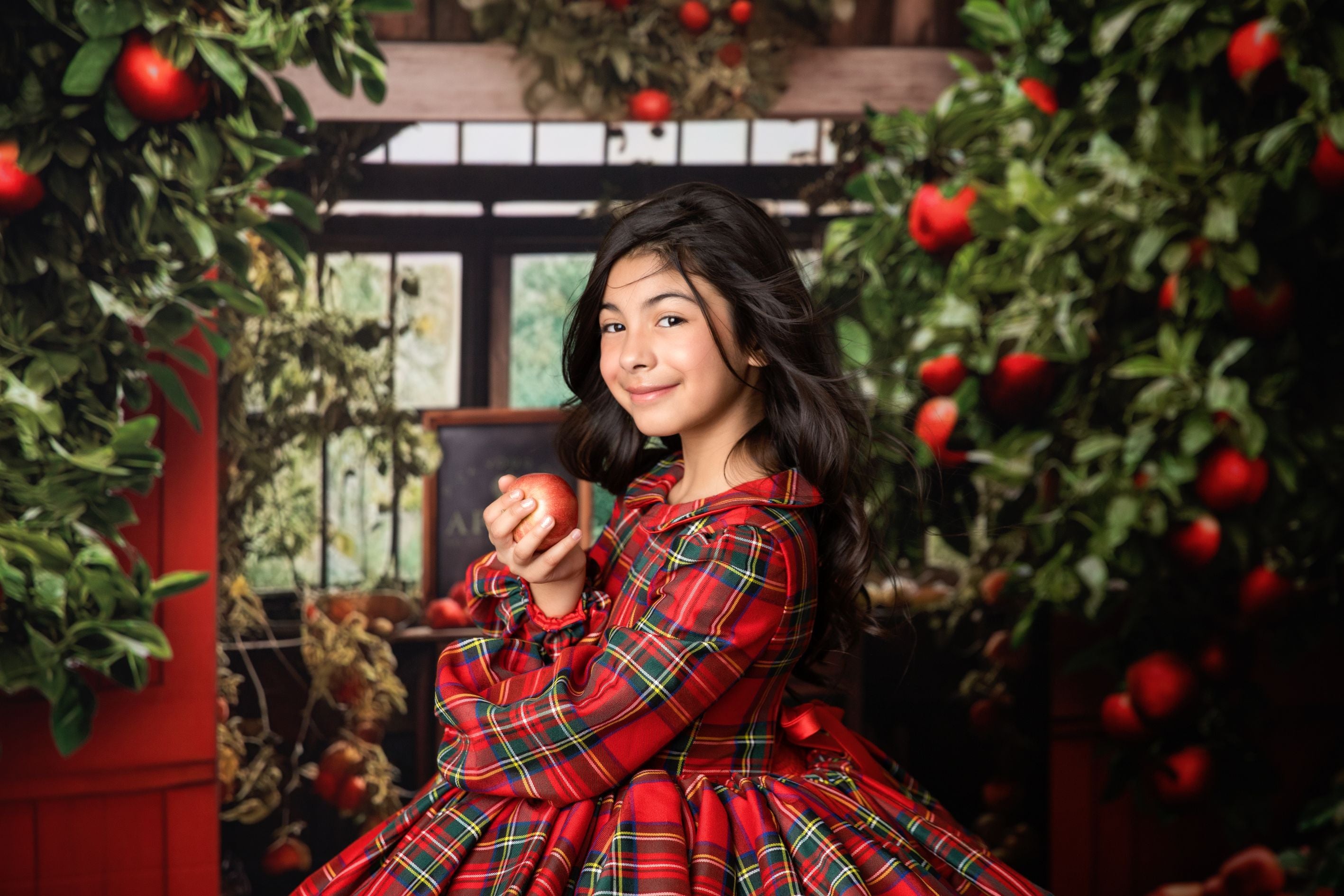 Couture gown rental: "Darling Plaid" Red Vintage Dress Sleeve ( 5 Year - Petite 6 Year)