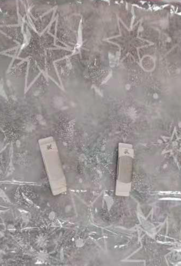 REMNANT Silver Snowflakes