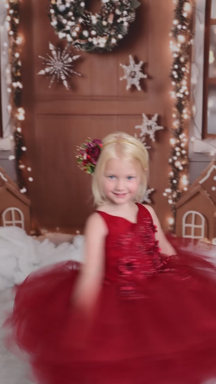 holiday gowns, dream dress sessions, photography christmas sessions, gowns for photography. children's rental gowns, barbie inspired gowns, barbie inspired dress