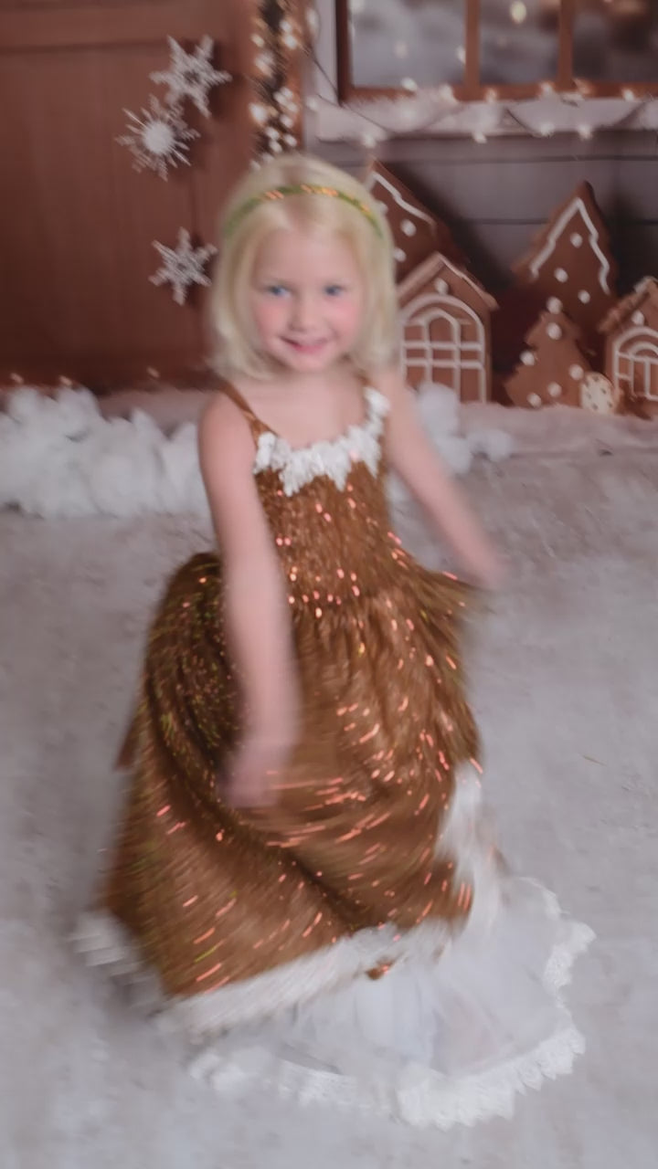 holiday gowns, dream dress sessions, photography christmas sessions, gowns for photography. children's rental gowns, barbie inspired gowns, barbie inspired dress