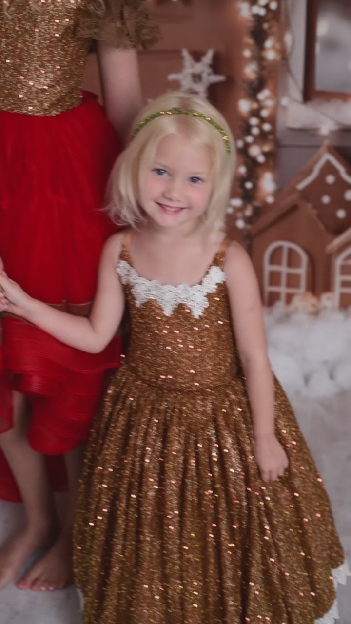 holiday gowns, dream dress sessions, photography christmas sessions, gowns for photography. children's rental gowns, barbie inspired gowns, barbie inspired dress