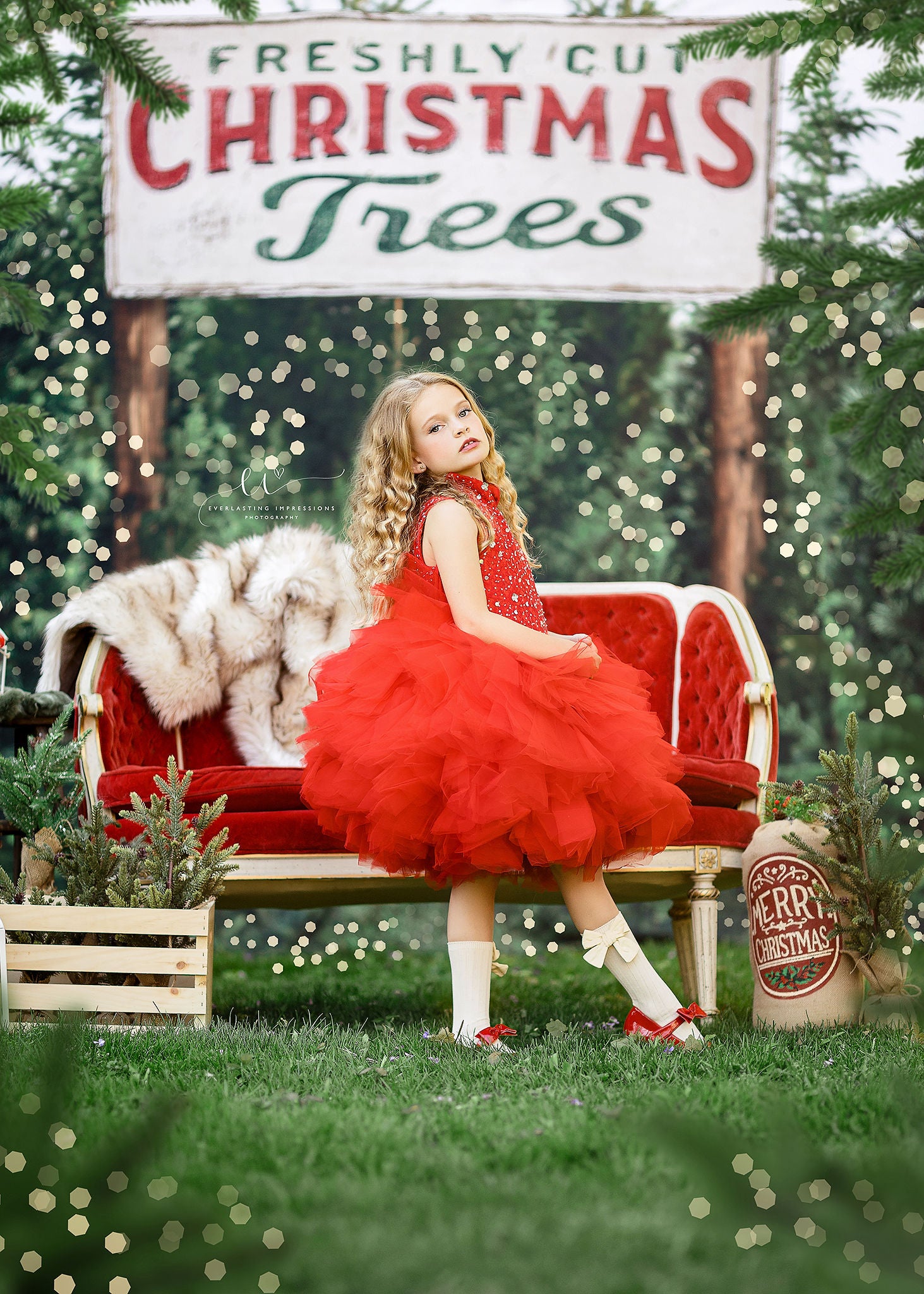 NEW "Poise" in Red- Petal Length Dress (5 Year-Petite 7 Year)