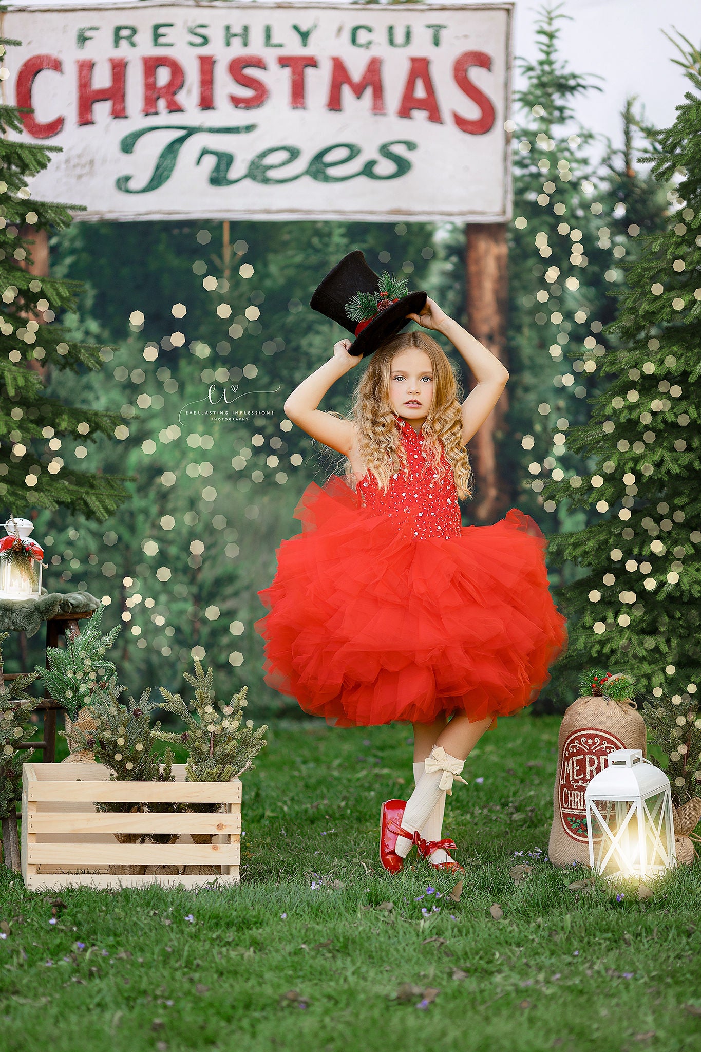 NEW "Poise" in Red- Petal Length Dress (5 Year-Petite 7 Year)