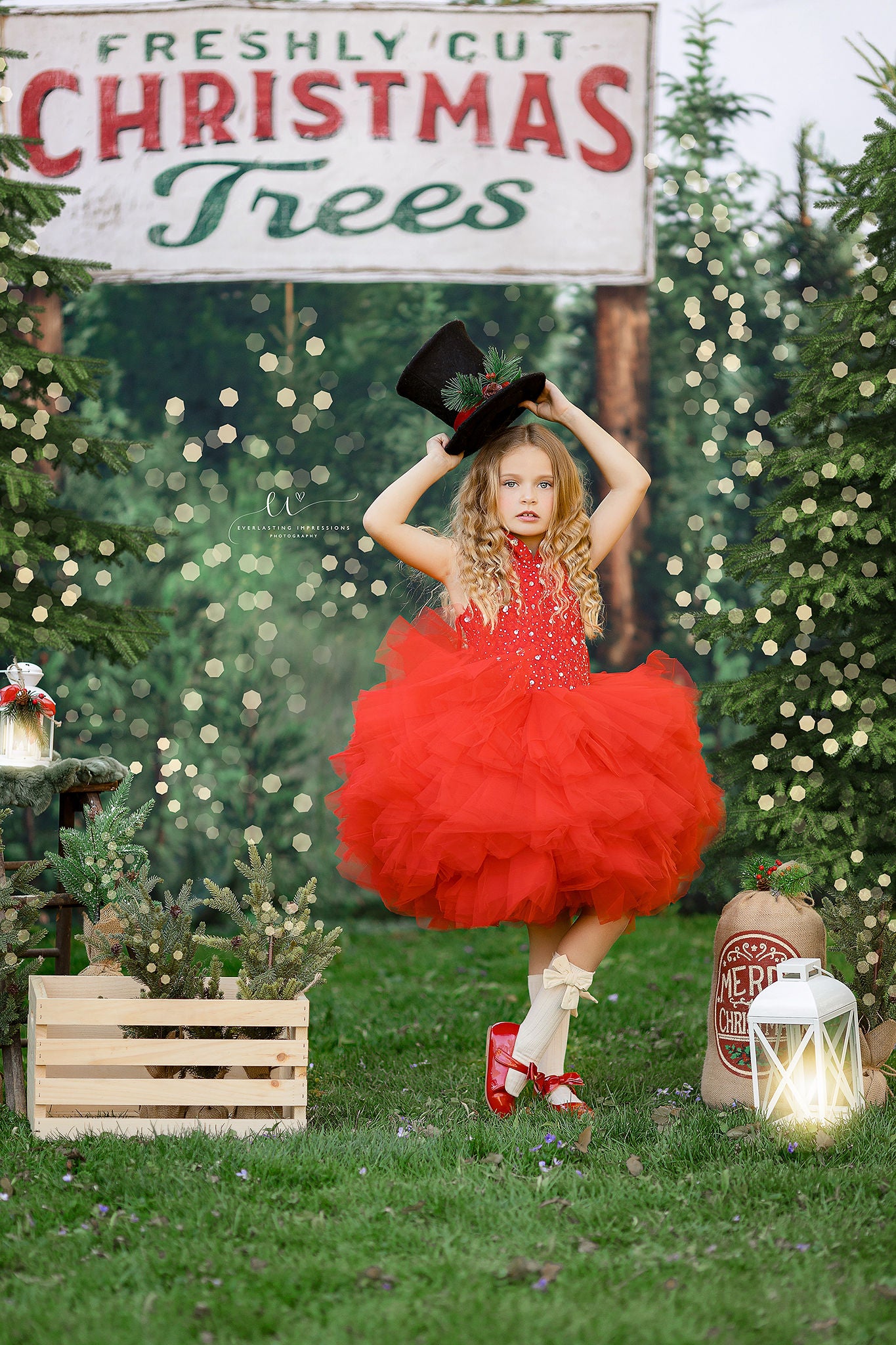 "Poise" in Red- Petal Length Dress (5 Year-Petite 7 Year)