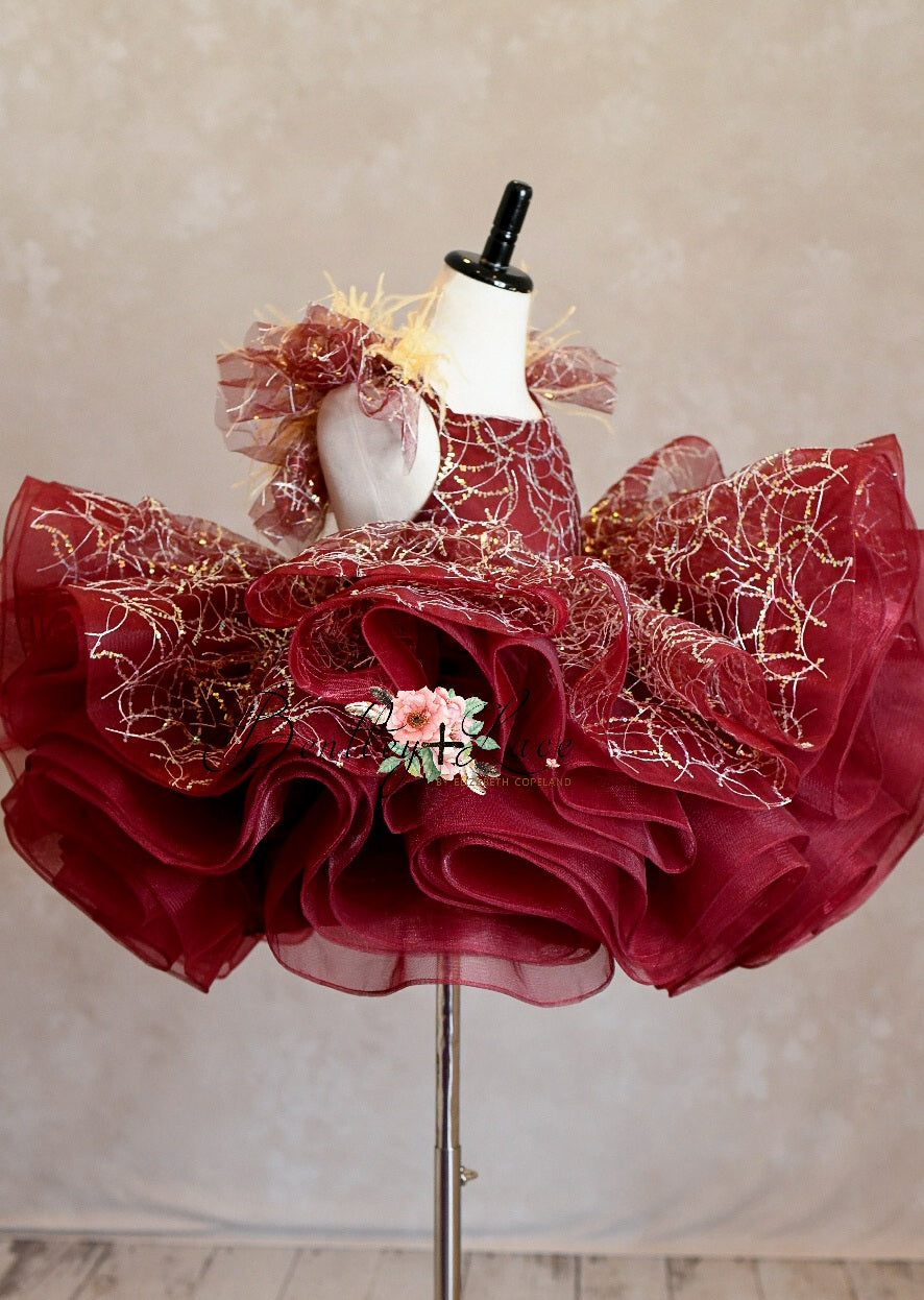 "Winnie" burgundy with feathers Petal Length Dress ( 4 Year - Petite 5 Year)