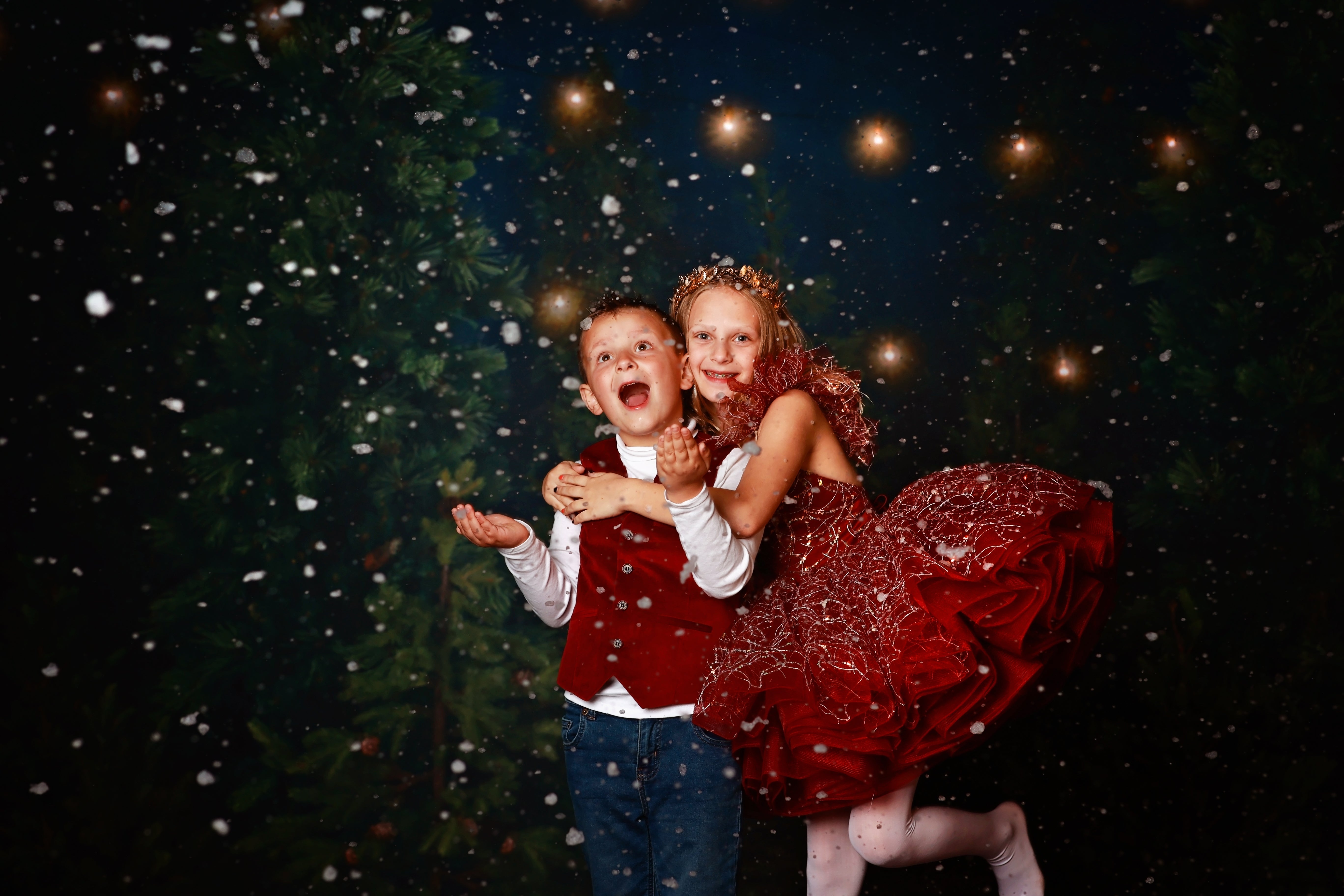 "Winnie" burgundy with feathers Petal Length Dress ( 4 Year - Petite 5 Year)