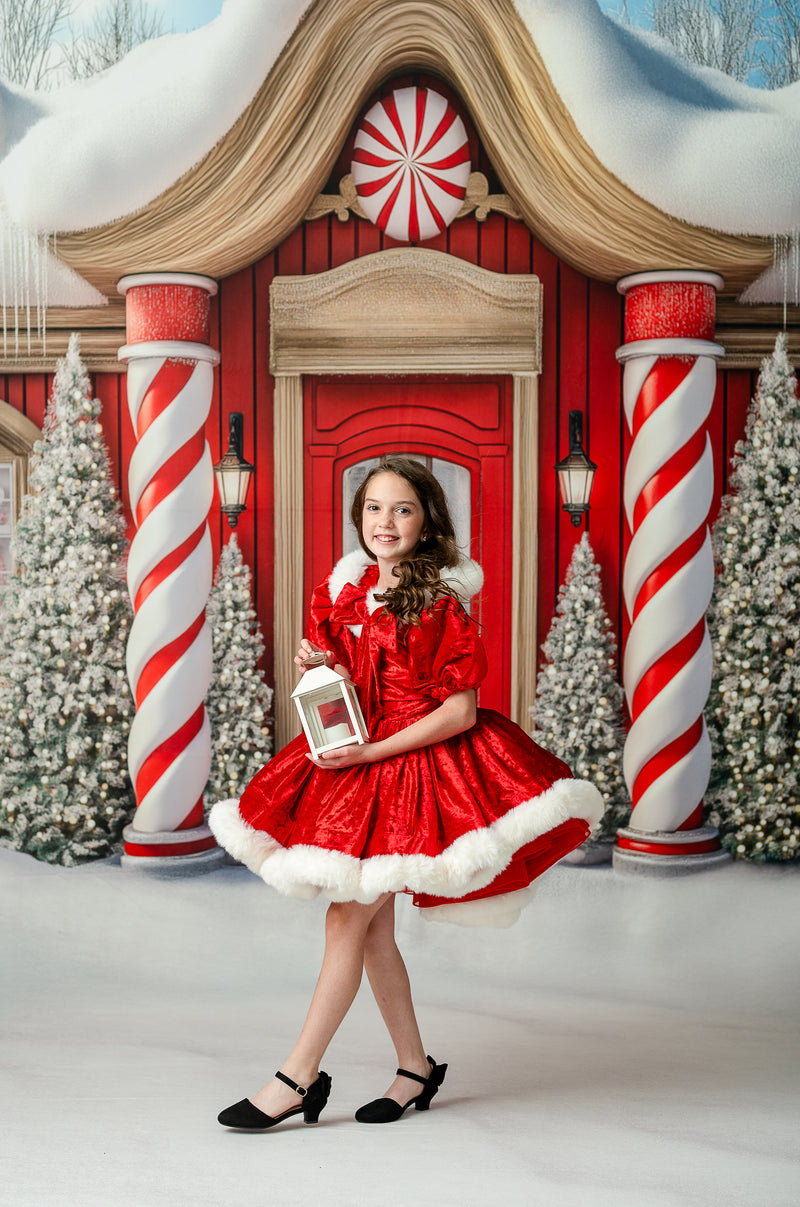 Portrait of young girl in vintage-inspired Christmas gown with red accents

