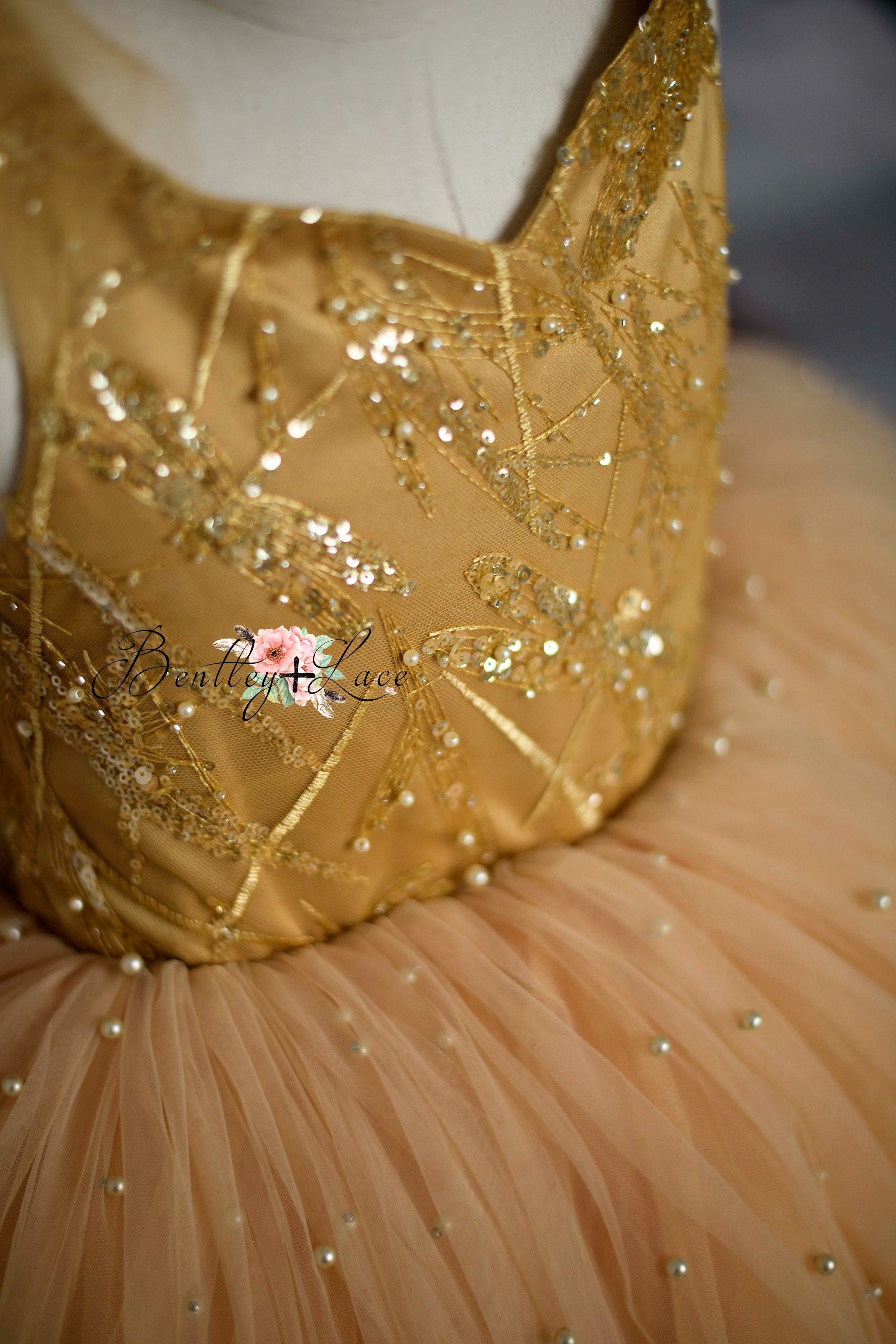 Fairy Dust-Toddler Floor Length Gown BENTLEY AND LACE- GOWNS FOR PHOTOGRAPHY Fairy Dust-Toddler Floor Length Gown BENTLEY AND LACE- GOWNS FOR PHOTOGRAPHY