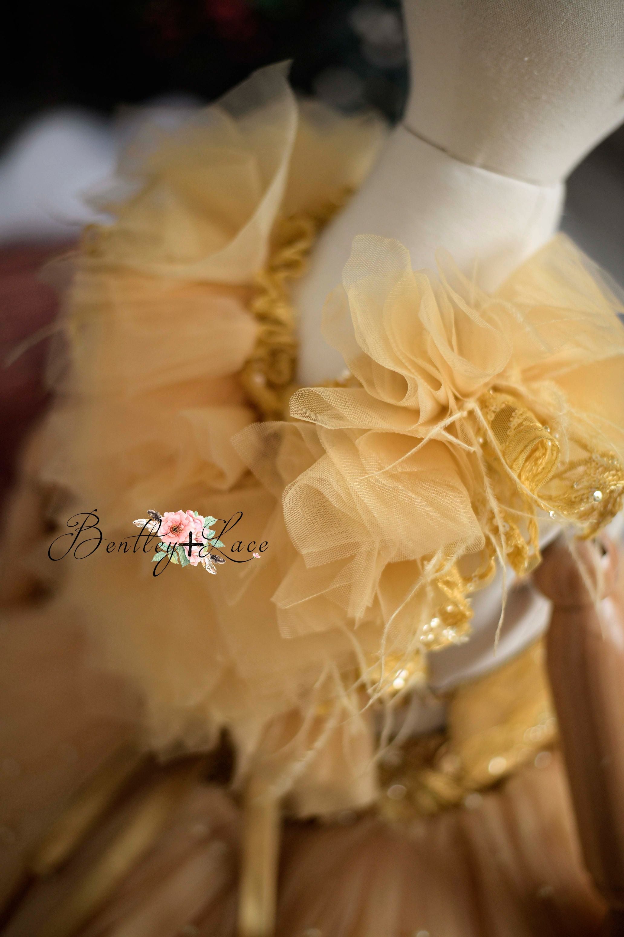 Fairy Dust-Toddler Floor Length Gown BENTLEY AND LACE- GOWNS FOR PHOTOGRAPHY Fairy Dust-Toddler Floor Length Gown BENTLEY AND LACE- GOWNS FOR PHOTOGRAPHY