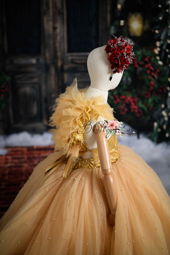 Fairy Dust-Toddler floor long gown (3 year- 4 year)
