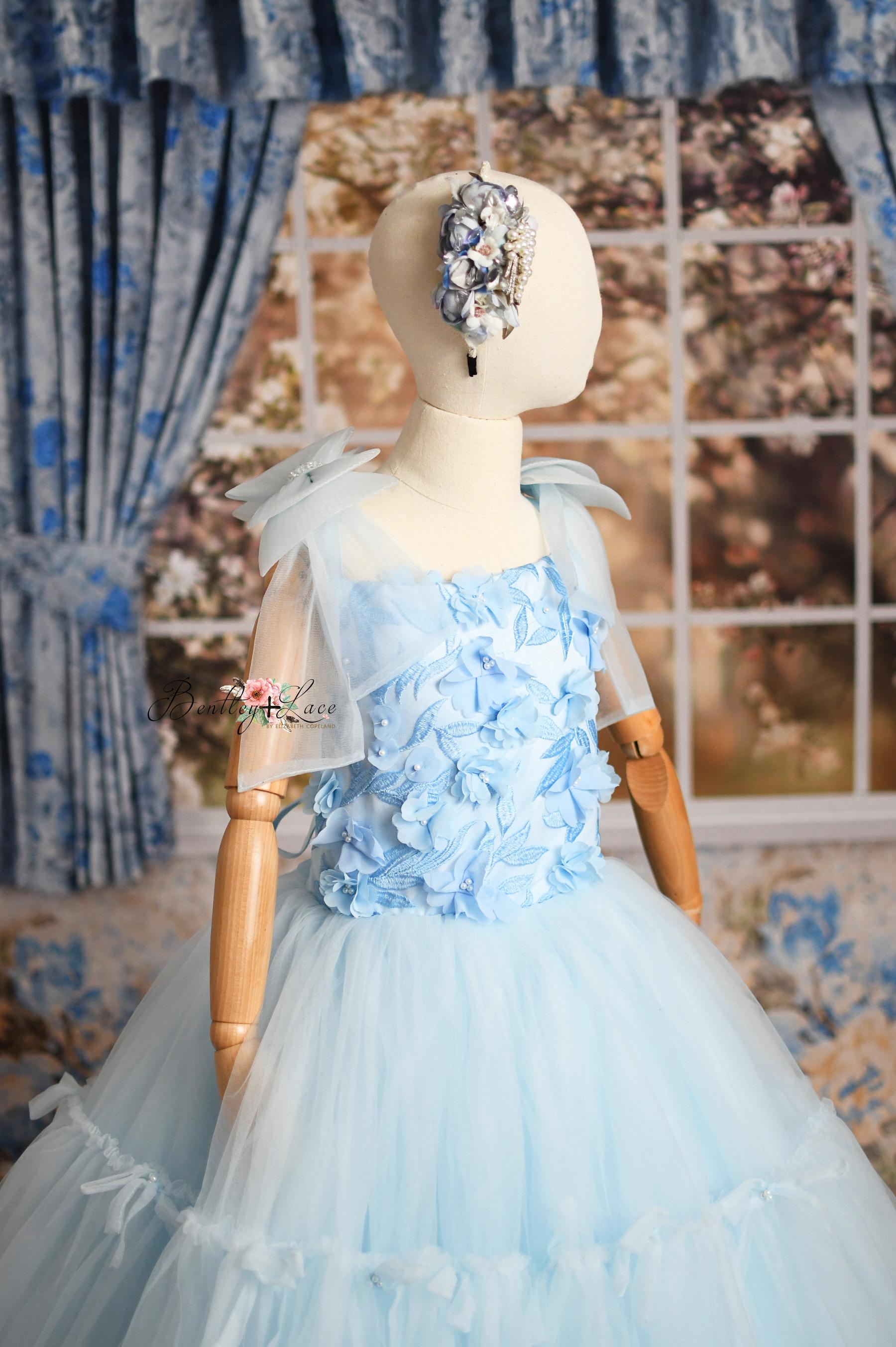 Cinderella inspired gowns for photography sessions