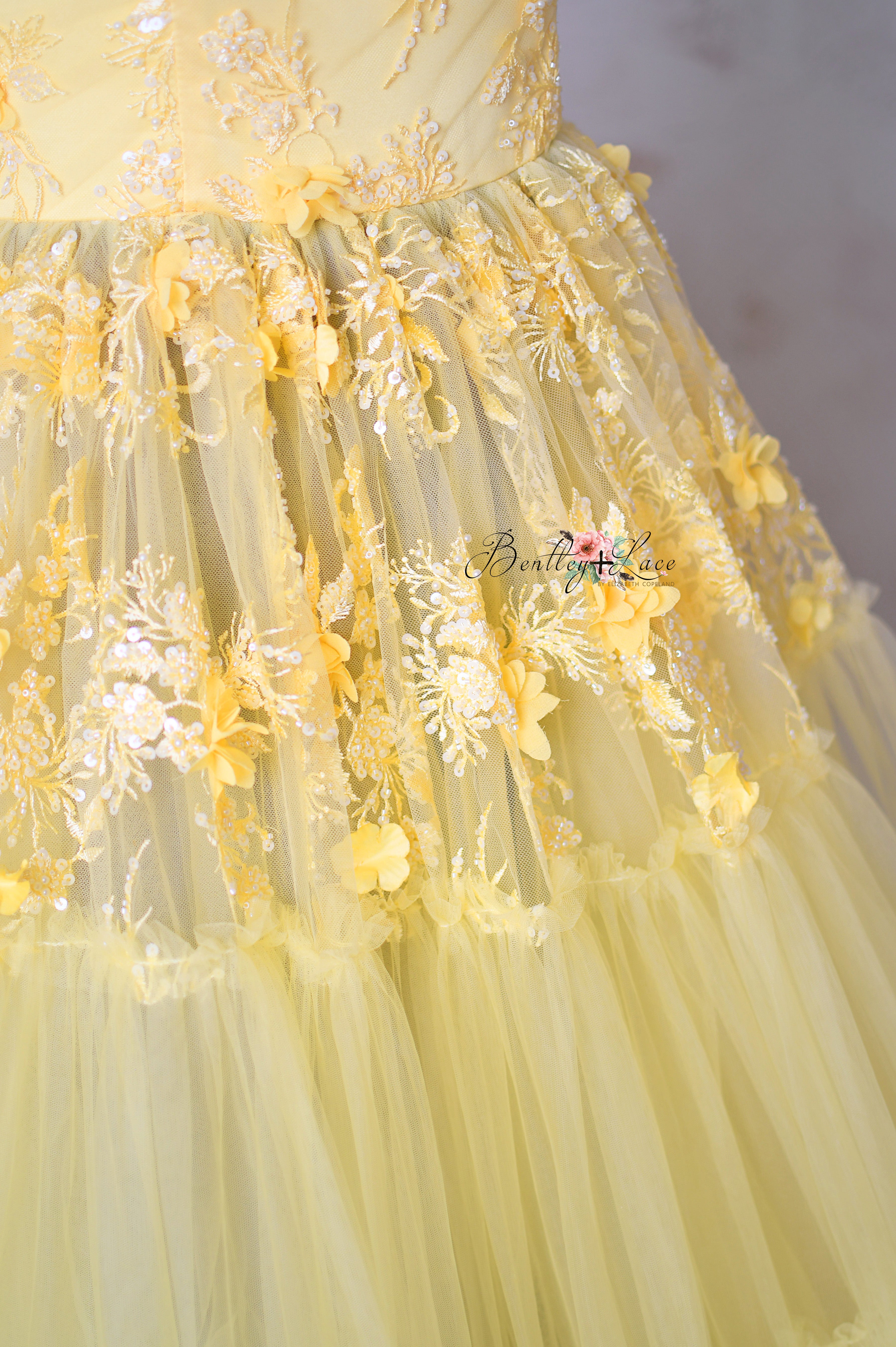 Close-up of the bodice detailing, highlighting delicate embroidery and floral embellishments.
