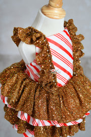 Candy Lane Ging Editorial Dress, Couture Gown, Special Occasion Dress