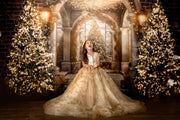 Christmas dresses, holiday gowns for girls,  dresses for photography sessions, babydream backdrops, dream dress sessions, april massad photography