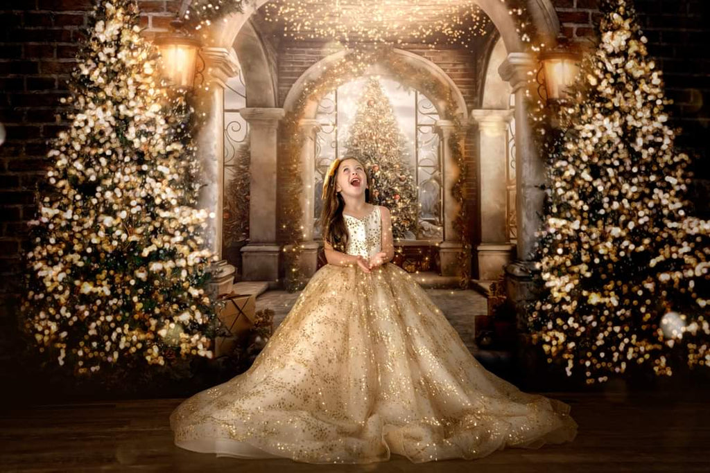 Christmas dresses, holiday gowns for girls,  dresses for photography sessions, babydream backdrops, dream dress sessions, april massad photography