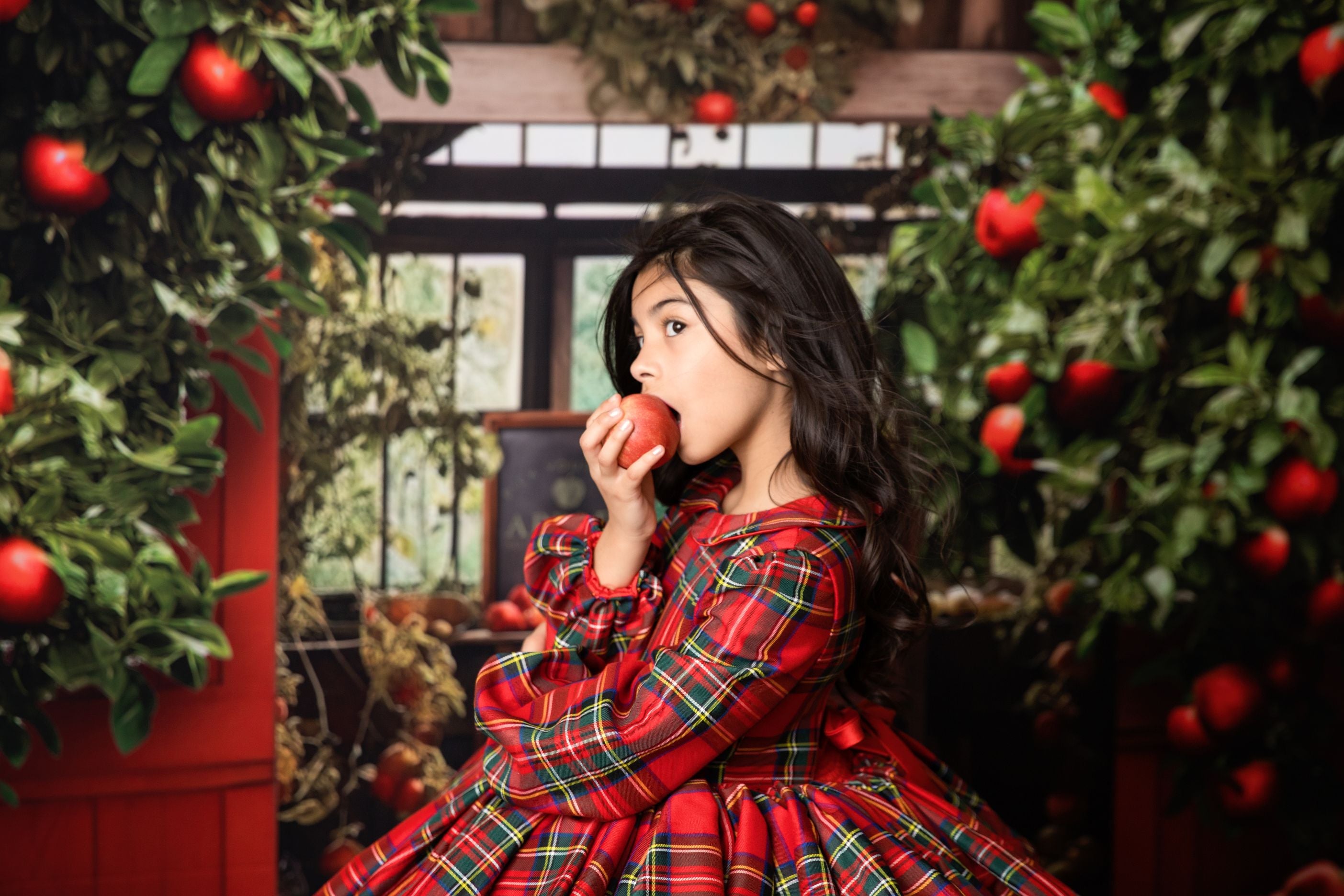 Couture gown rental: "Darling Plaid" Red Vintage Dress Sleeve ( 5 Year - Petite 6 Year)