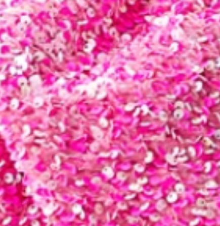 REMNANT RETRO VELVET SEQUIN