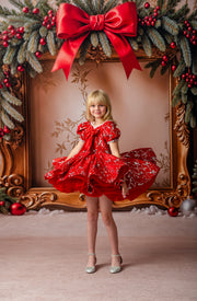 Close-up of red velvet puff sleeve dress with silver bow details

