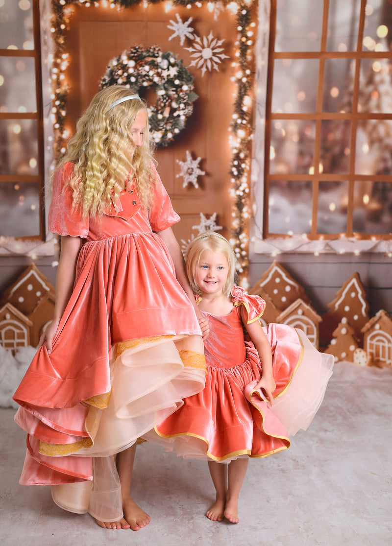 "Kimberly"  Velvet High Low Editorial Dress, Couture Gown, Special Occasion Dress