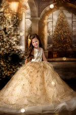Christmas dresses, holiday gowns for girls,  dresses for photography sessions, babydream backdrops, dream dress sessions, april massad photography