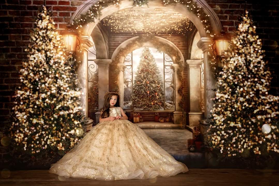 Christmas shop ball gowns