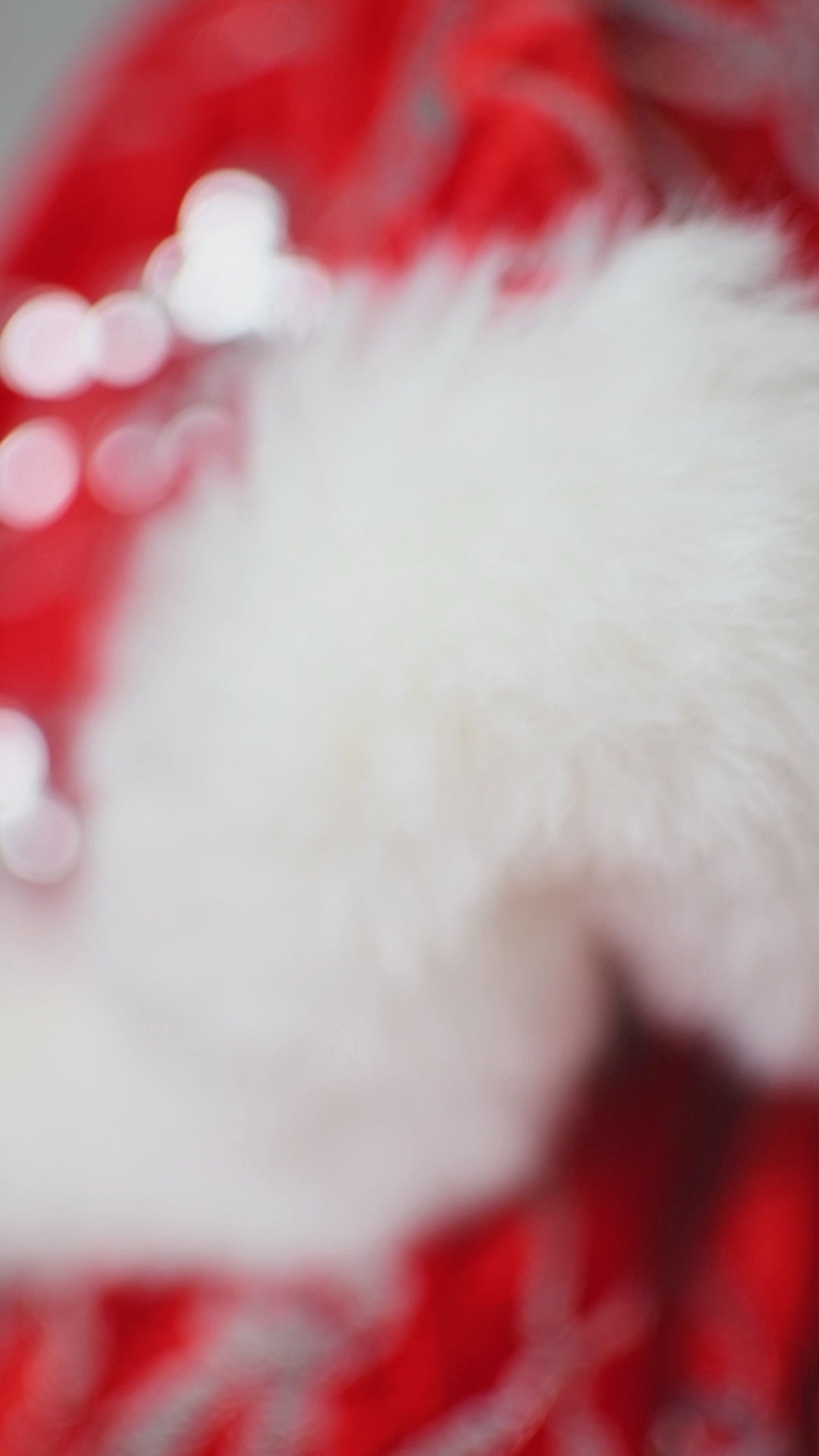 Close-up of embroidered silver bow details on rich red velvet fabric.


