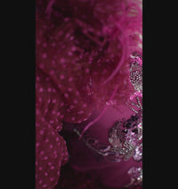 New "Radiant Orchid" Petal Length Dress with Detachable Sleeves | Size 6 Year to Petite 7 Year