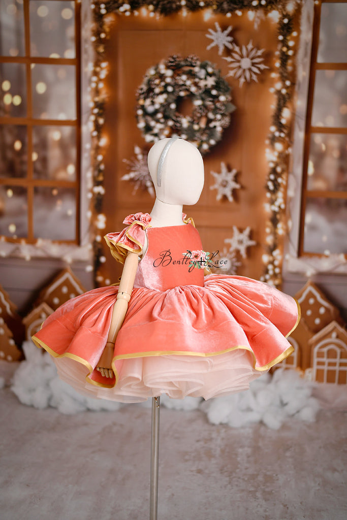 Velvet cape, holiday gowns, dream dress sessions, photography christmas sessions, gowns for photography. children's rental gowns, velvet holiday gown