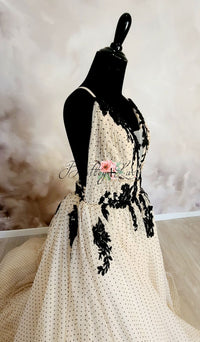 Dillon - Velvet Dot (TEEN-ADULT)