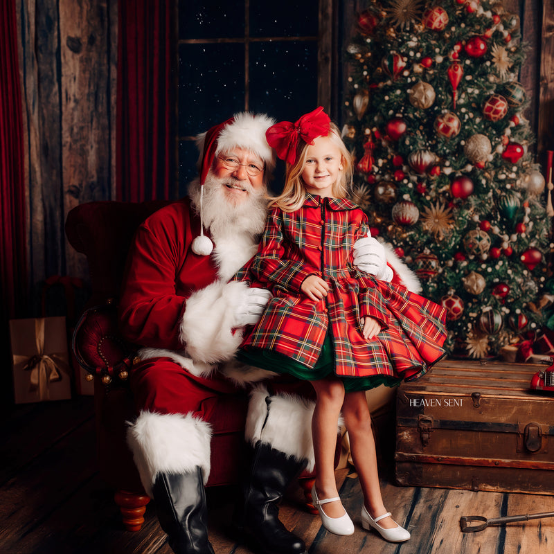 couture gown rental -  Holiday couture gown rental -perfect for photography sessions using babydream backdrops and other fine art drops.