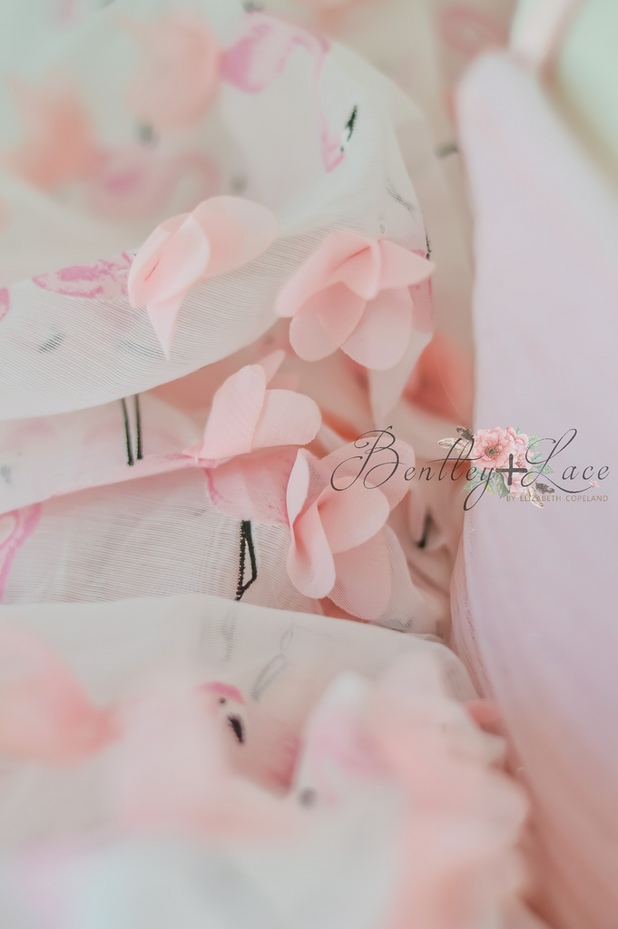 Petal "Mingo Kisses"- Short Length Dress (2 Year - Petite 4 Year)