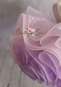 retired rental euc Lavender Butterfly Confetti - Petal  Length Dress (3 Year-Petite 5 Year)