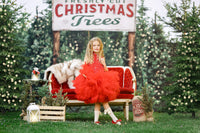 NEW "Poise" in Red- Petal Length Dress (5 Year-Petite 7 Year)