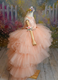 New "Star Dazzle"- High Low Length Dress (5 Year - Petite 6 Year)